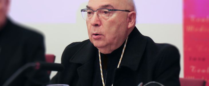 gelabert academia doctores espana 1