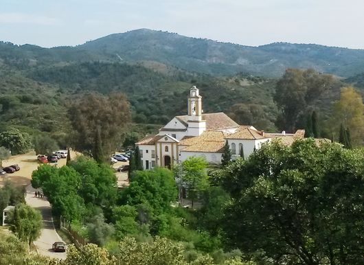 Scala Coeli